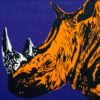 L'Ultimo dei Rinoceronti Arancioni