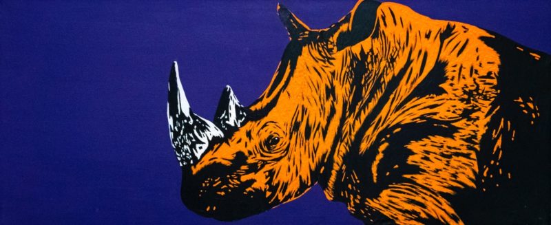 L'Ultimo dei Rinoceronti Arancioni